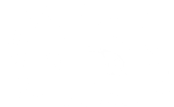 SS Store
